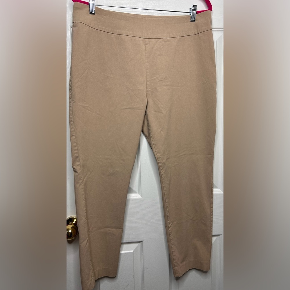 Tanjay size 18P tan pull on pant
